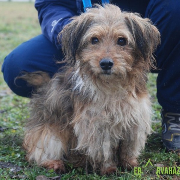 Mütyűr01 Mütyűr01