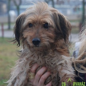 Mütyűr03 Mütyűr03