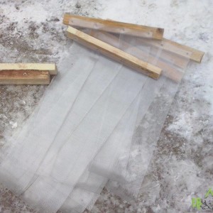 12489307_562721450548079_3211496786586481731_o