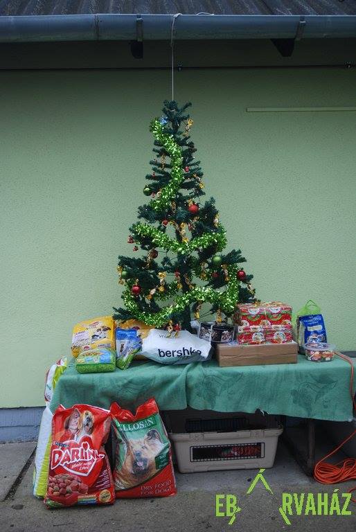 decemberi adományok