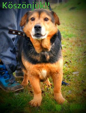 1240300_574135386073352_5565952073021288551_n