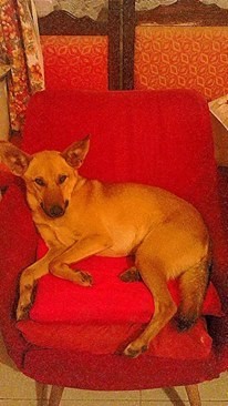 10013944_587429091410648_8793615949818075465_n