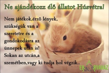 12417790_593334717486752_1476236326751513637_n