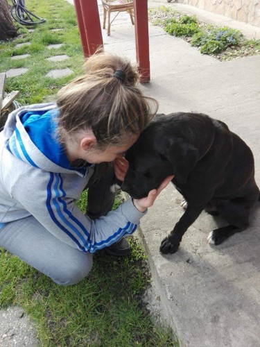 12512227_596262813860609_5799758779765528625_n