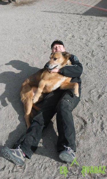 12670886_593154640838093_8710198773265239276_n