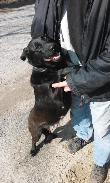 12790843_584165351737022_4832228682226888876_n