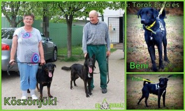 12801121_584805508339673_6497494303581410043_n