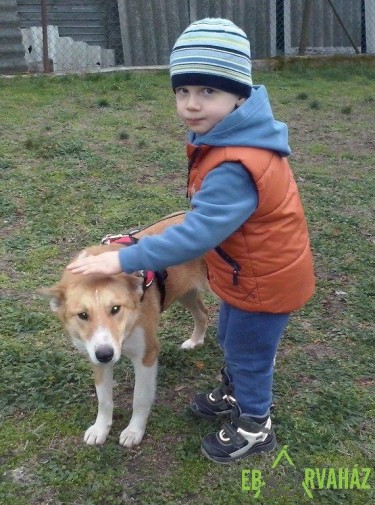 12805786_585108474976043_1673441566042803766_n