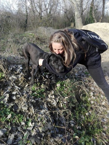 12884444_1076423059080532_2142726727_n