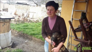 12932655_597823053704585_3707160015284721452_n