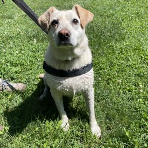 444964893_796773622568362_6916473669264734197_n 444964893_796773622568362_6916473669264734197_n