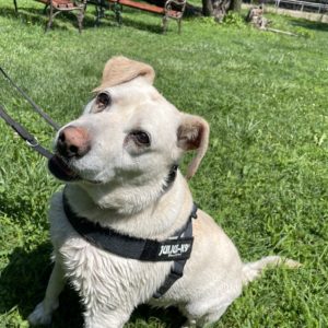 447276998_796773979234993_8471112674258363417_n 447276998_796773979234993_8471112674258363417_n