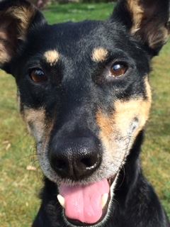 10390893_600424793444411_5967456902622872447_n