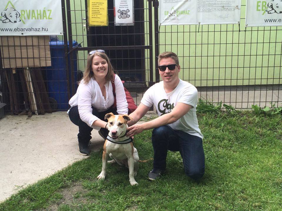 13226641_620109318142625_7867599036933425530_n