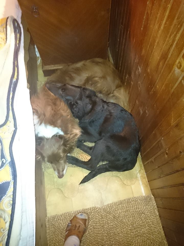 13232947_618616694958554_8143051484679041091_n