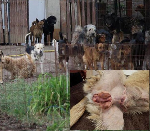 13237698_1023677244390099_4126098940170866610_n