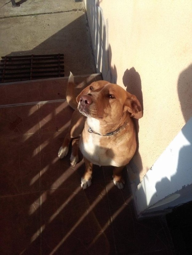 13254061_622951807858376_5191119962127513611_n