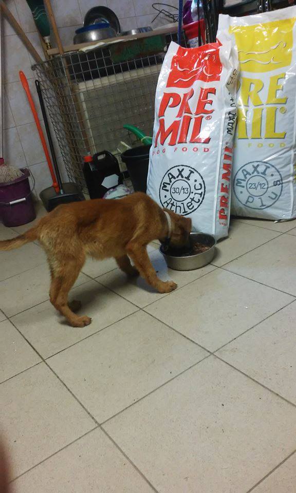 13450863_630951073725116_1247036603087984321_n