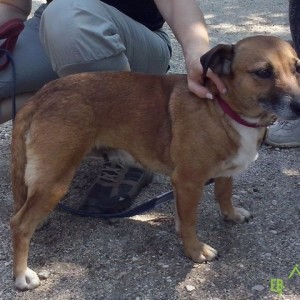 Manó_sp02 Manó_sp02