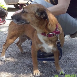 Manó_sp03 Manó_sp03