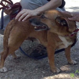 Manó_sp04 Manó_sp04