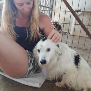 13579801_291059894578252_708851802_o