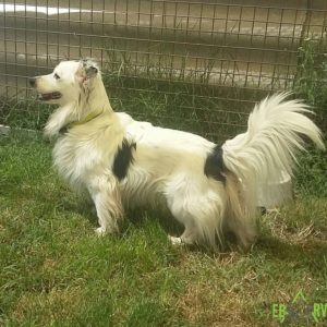 13582211_1145970372122277_2015534977_o