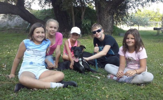 13892239_657189024434654_489584352054418836_n