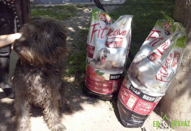 13912757_656468204506736_5257672791428352945_n