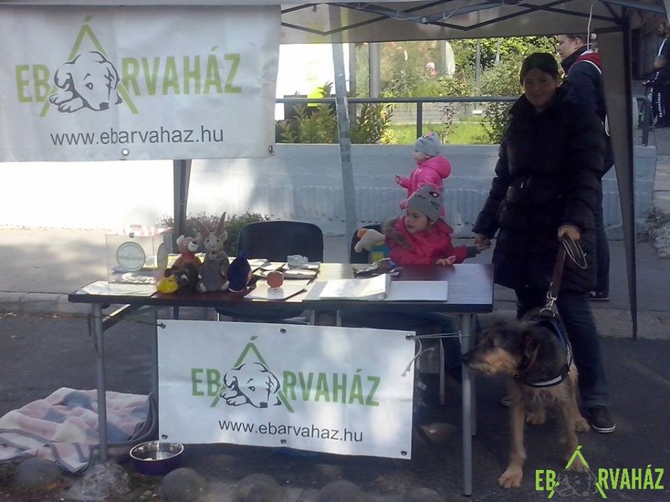 14567993_687222168098006_4339780207916546904_n