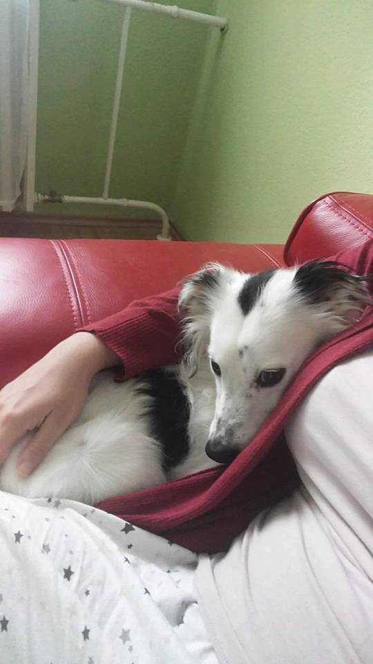 15055605_705696756250547_1254941433243909239_n