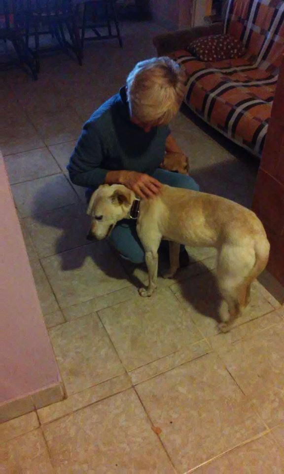 15057900_1352710488158533_583705446_n