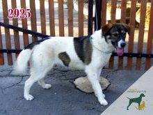 15285027_720864444733778_6514523632181504414_n