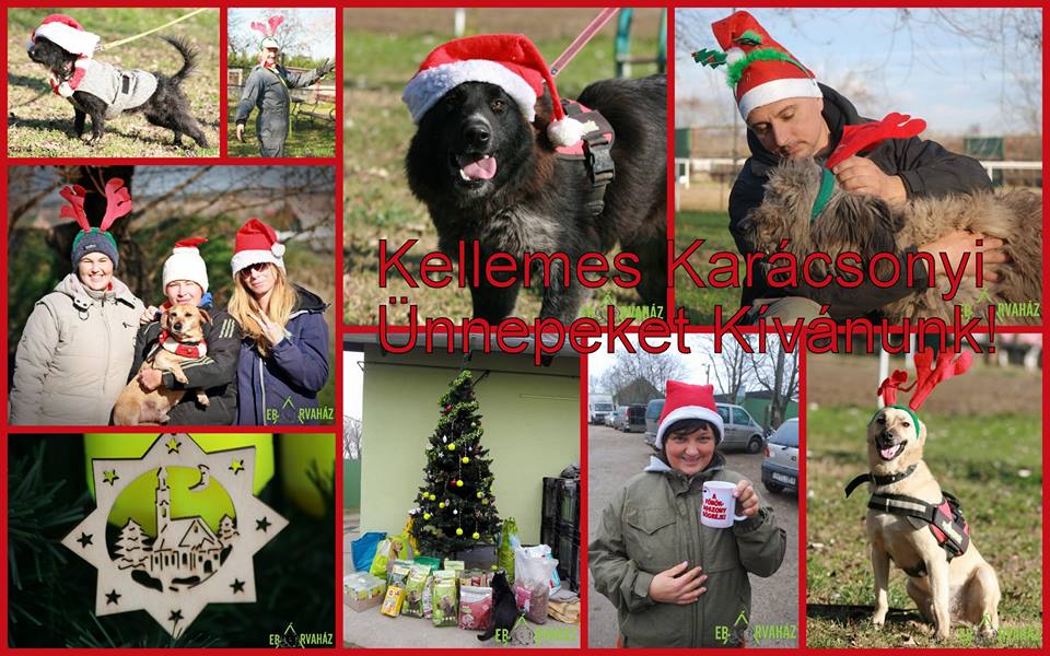 15665741_729385753881647_5264400106364008215_n (1)