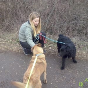 15748266_10154848013834347_535040434_o