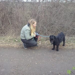 15776507_10154848013759347_345414316_o