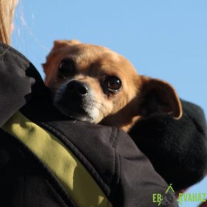 IMG_8497 IMG_8497
