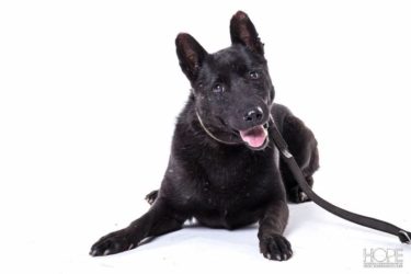 14287598_1198533653532615_178117033_n