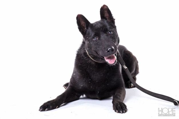 14287598_1198533653532615_178117033_n