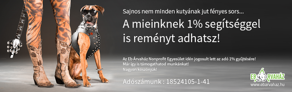 17190714_774373306049558_3398050285407469863_n