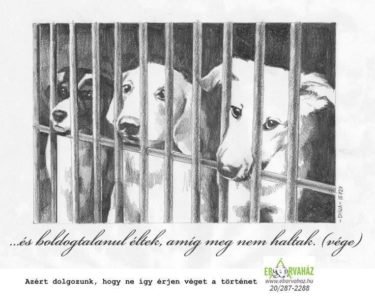 17191022_771732979646924_7625929038656307942_n