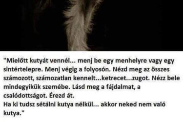 17270292_1494328487330065_904298735_n