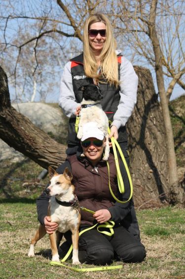 17342649_778988348921387_8497483145621689899_n