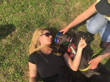 17495670_1394121417307170_1837025858_n