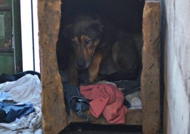 17523236_783672005119688_2763892533873808051_n