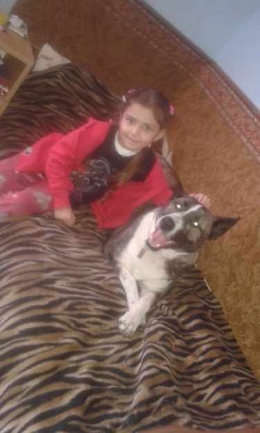 17553975_784567871696768_7373691475443688857_n