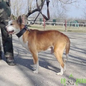 Zeusz04 Zeusz04