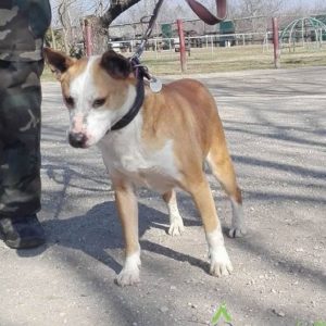 Zeusz05 Zeusz05