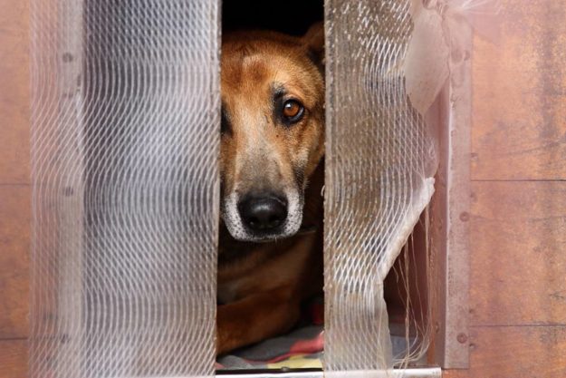 17457551_10206812556071475_6899777979865232703_n