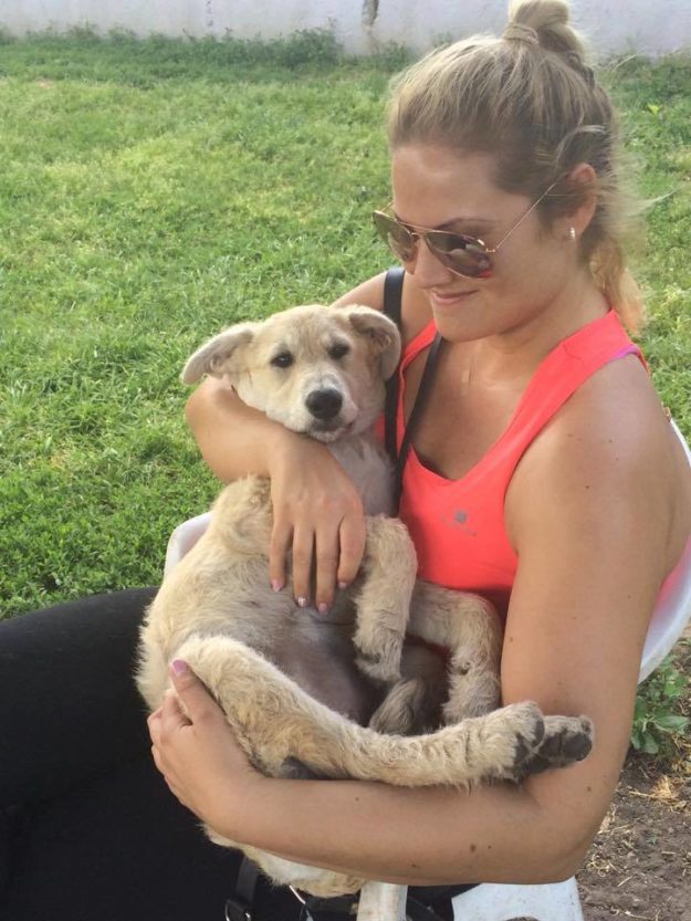 18699917_819436394876582_7477768244827128441_n